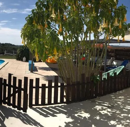 Casa O Futuro ベッド・アンド・ブレックファスト アルコバサ