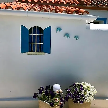 Casa O Futuro 4* Alcobaca