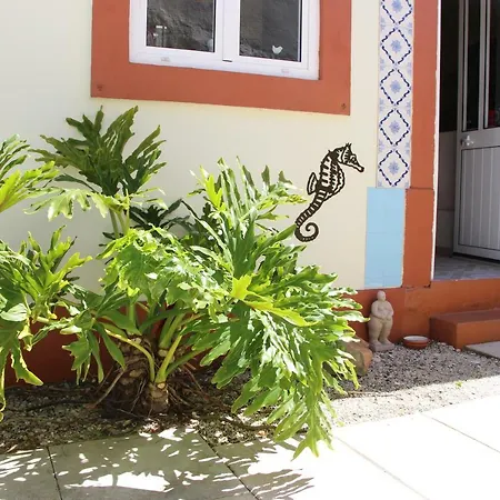 Bed & Breakfast Casa O Futuro Alcobaca