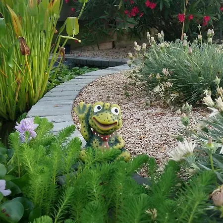 Casa O Futuro 4* アルコバサ