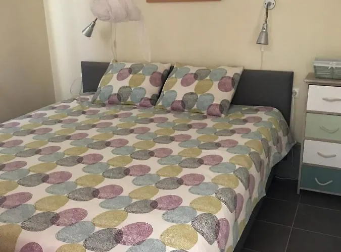 Alojamento de Acomodação e Pequeno-almoço Casa O Futuro