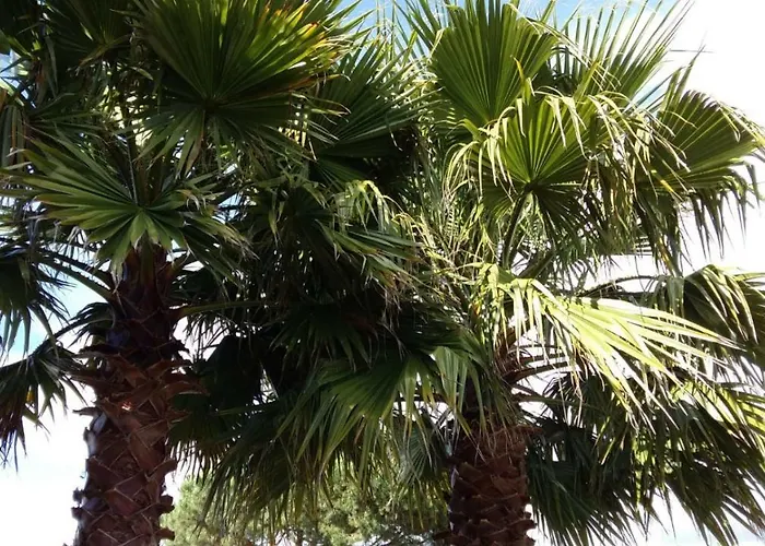 Casa O Futuro Bed & Breakfast