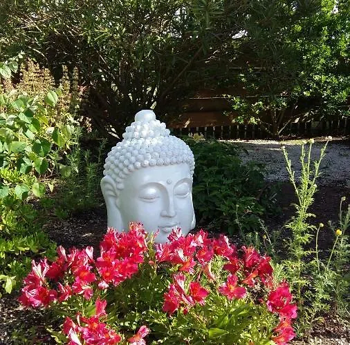 Casa O Futuro Alcobaça