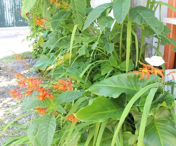 Casa O Futuro Alojamento de Acomodação e Pequeno-almoço Alcobaça