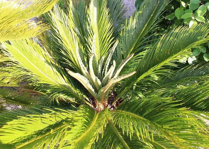 Casa O Futuro Alojamento de Acomodação e Pequeno-almoço