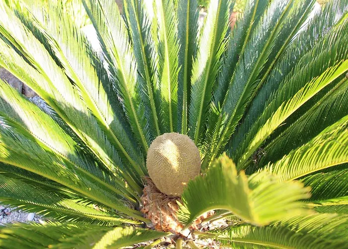 Casa O Futuro Alojamento de Acomodação e Pequeno-almoço Alcobaça